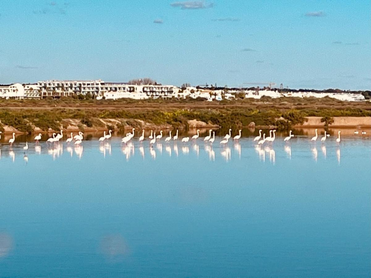 Casa Bamboo Tavira Apartment Luaran gambar